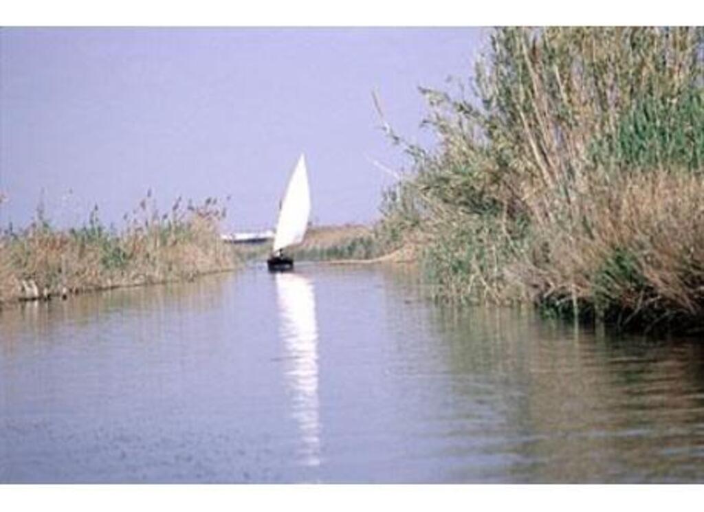 Albufera