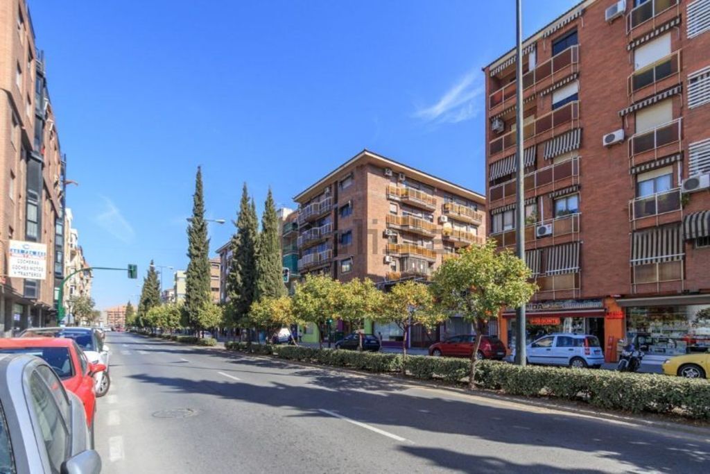 Calle principal: Camino de Ronda