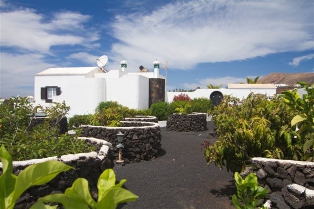 Garden surrounding the house