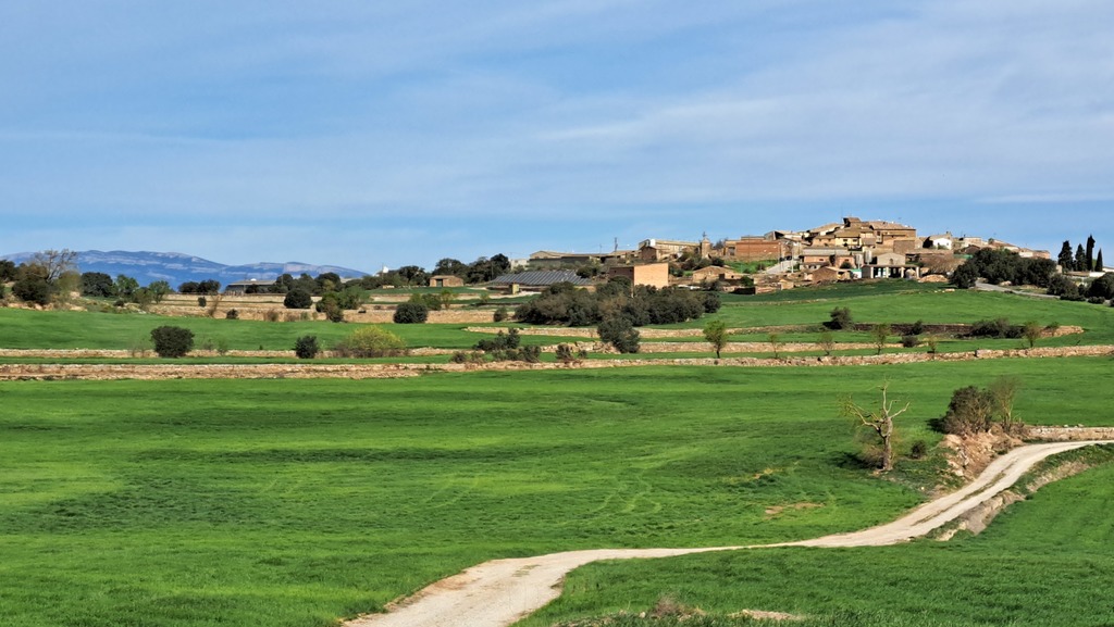 Walk in the village outskirts