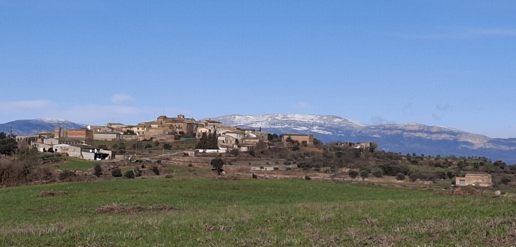 Selvanera and the Pyrenées