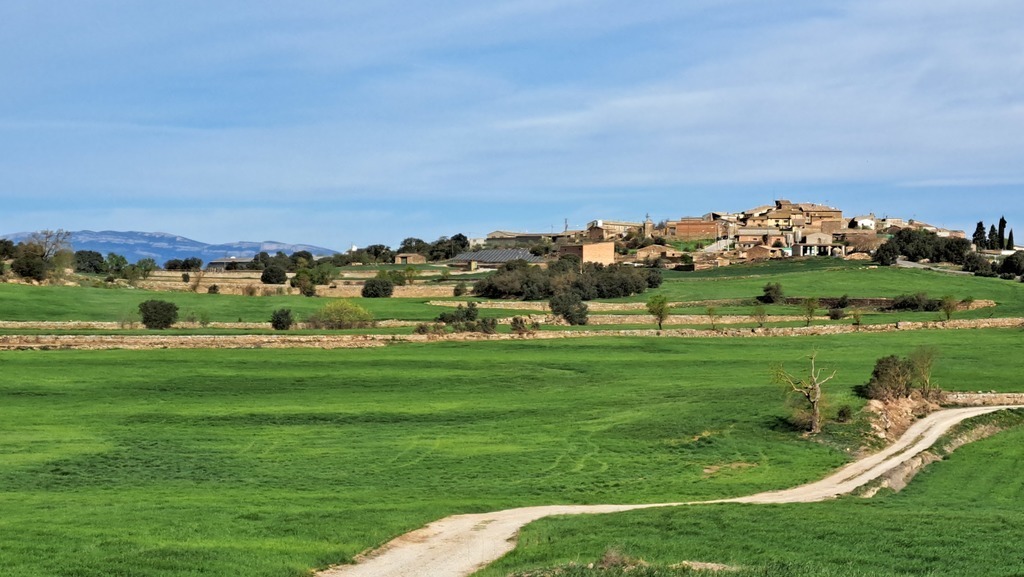 Walk in the village outskirts