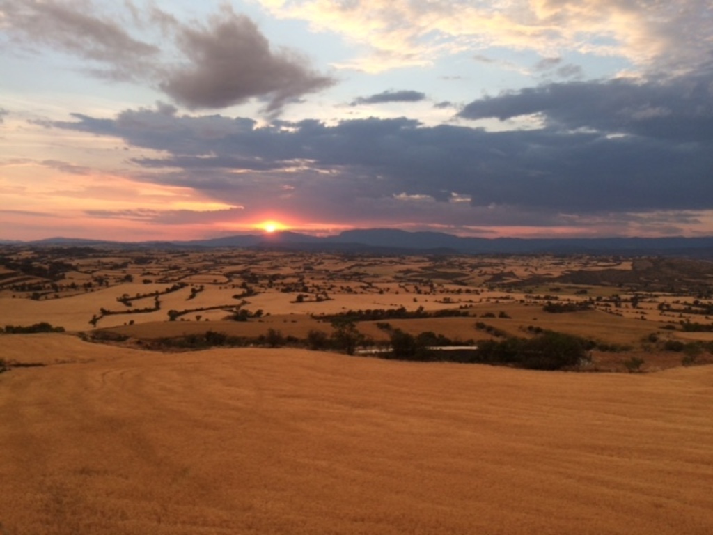 summer sunset, from the terrace