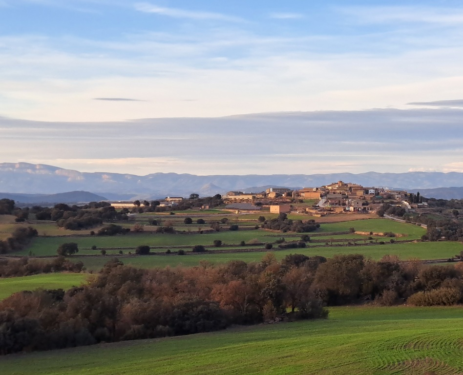 Selvanera and la Serra del Montsec at the back