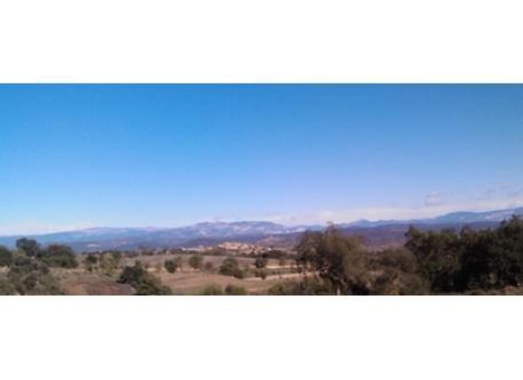 Selvanera, and the Pyrenees 