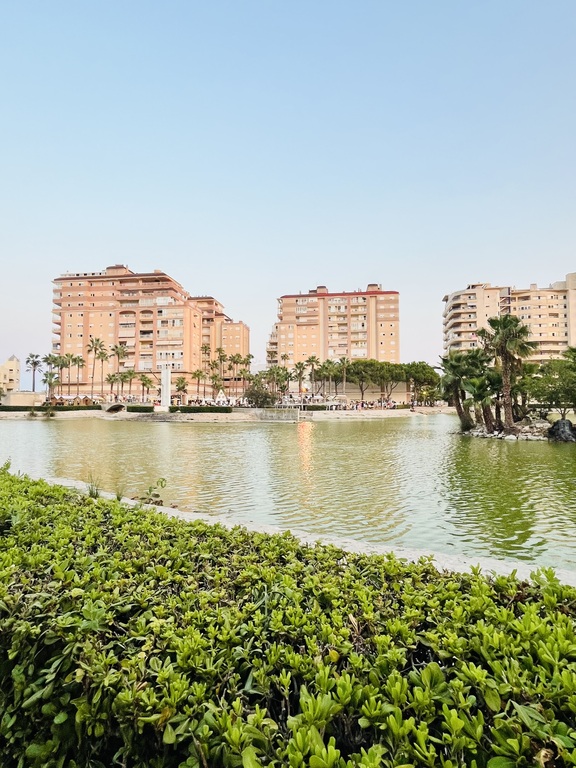 Our building seen from the lake