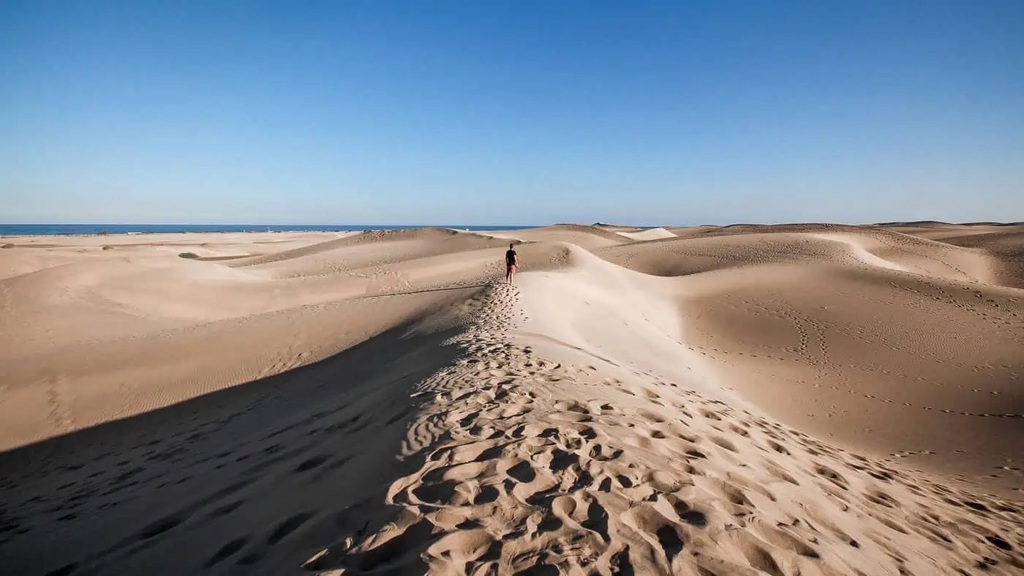 Maspalomas dunes