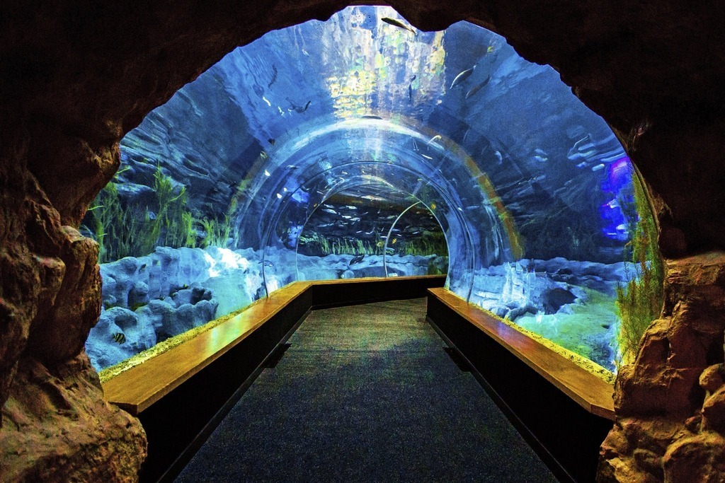 Las Palmas: Aquarium Poema del Mar