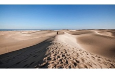 Maspalomas dunes