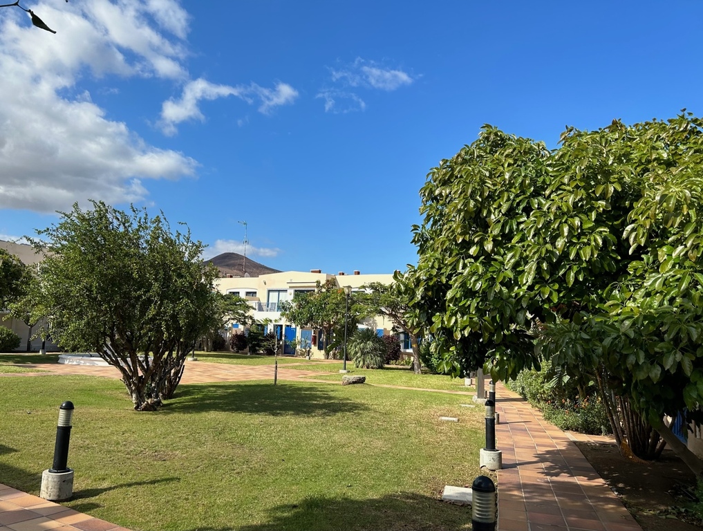 Playa Feliz: garden with our apartment at the back