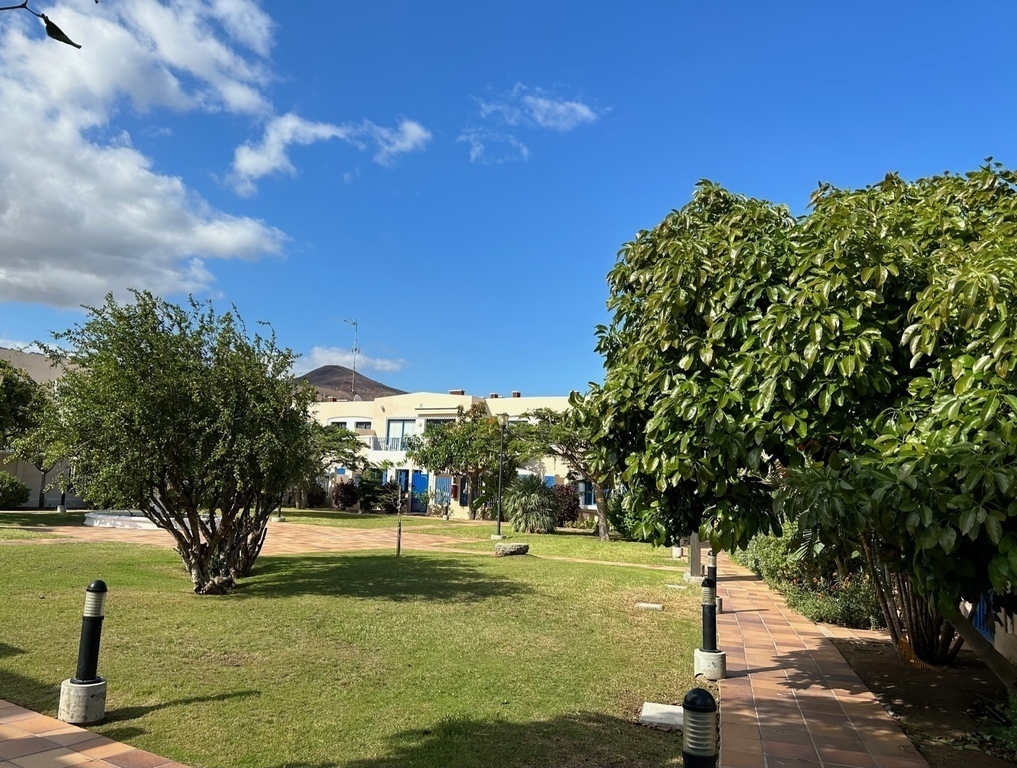 Playa Feliz: garden with our apartment at the back
