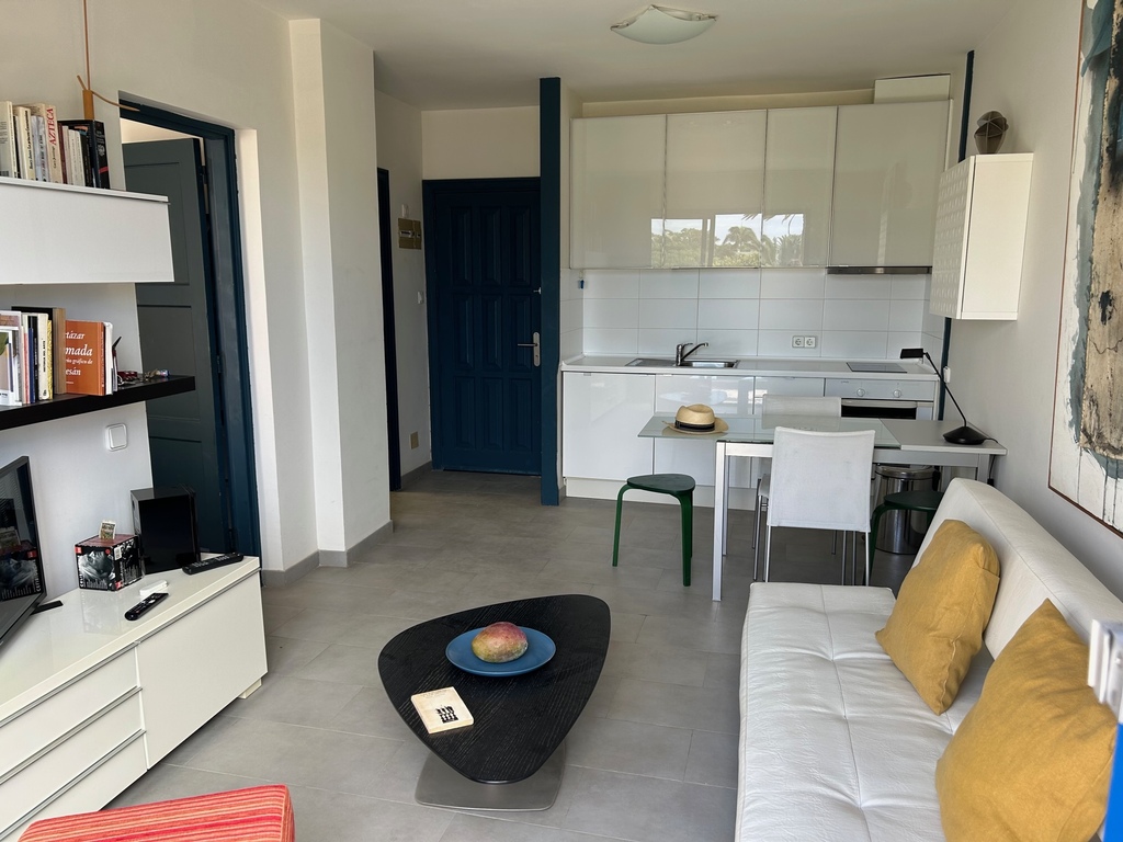 Apartment: Living room with the kitchen at the back