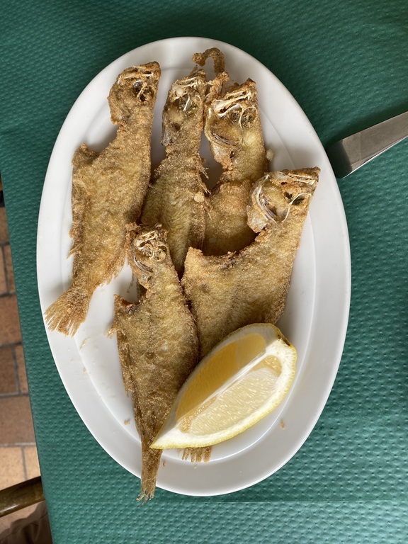 Tapa culo