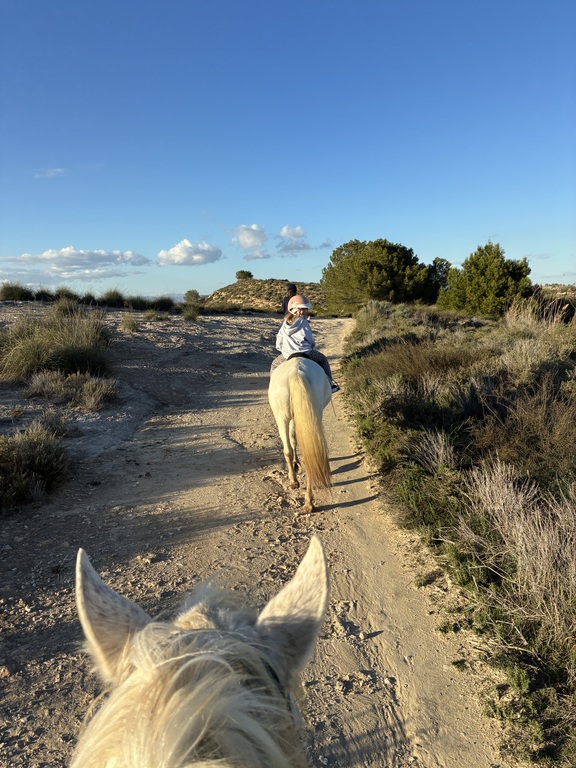 House riding, paintball, quad bike, 20 min by car. 