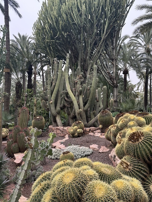 UNESCO garden in Elche, 45 min by car.