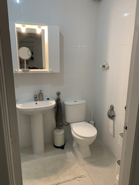 Toilet with shower