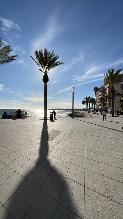 Playa Flamenca, beach near us, 10min by bicycle.