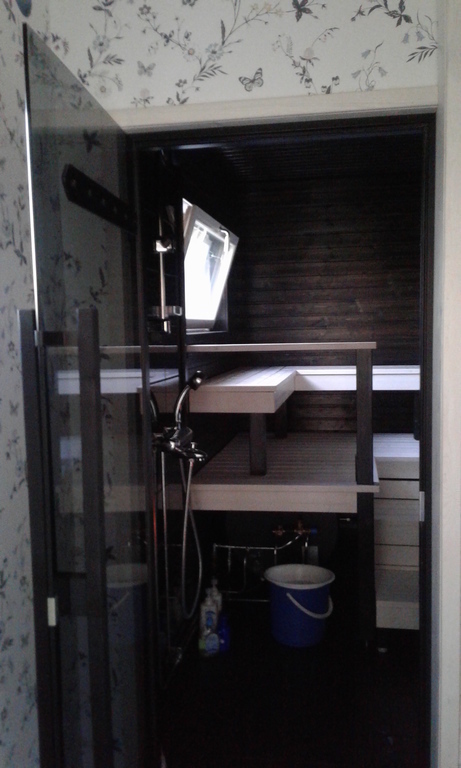 The modern sauna with the shower!