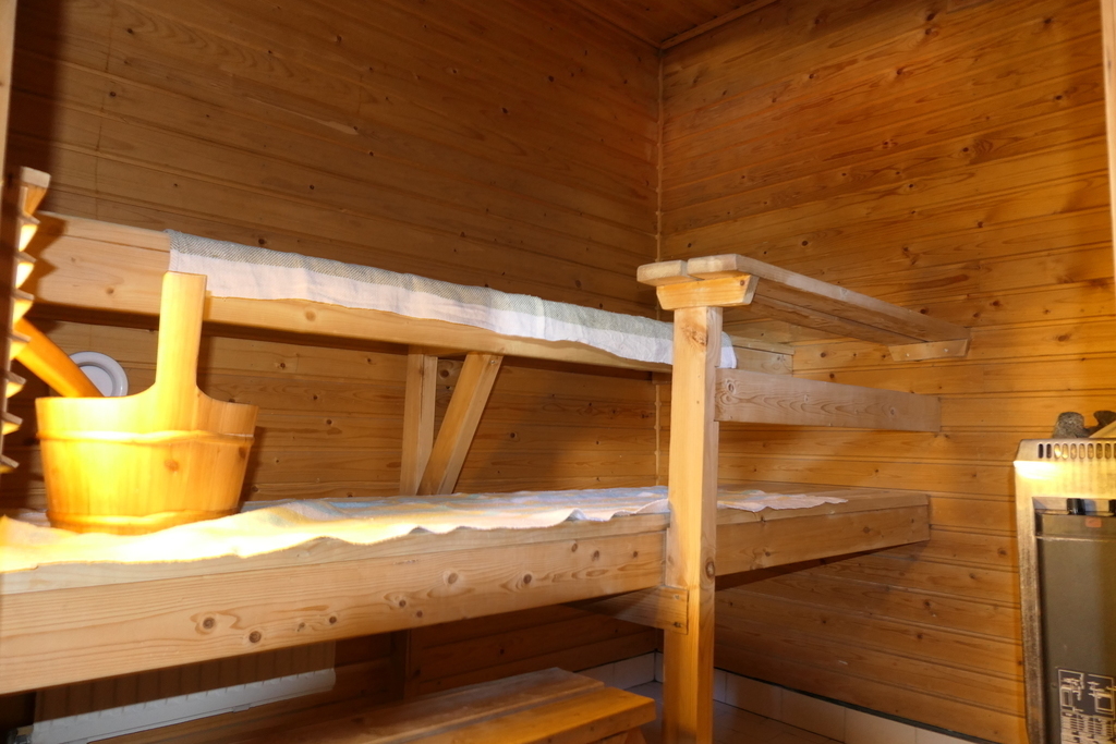 Sauna (electric)