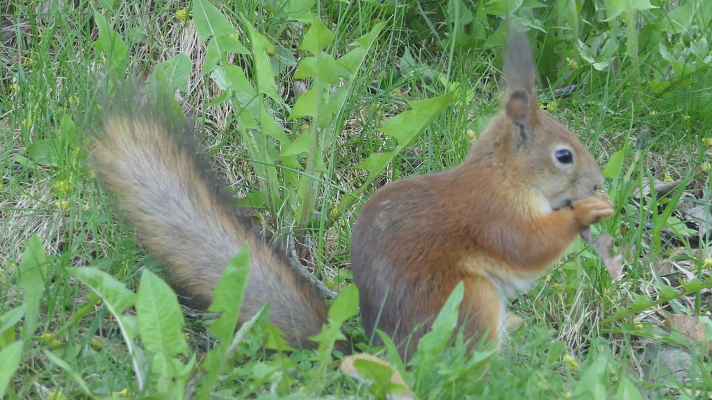 We have nice and friendly neighbourgs, he leaves 50 meters from our house. Visiting time to time.