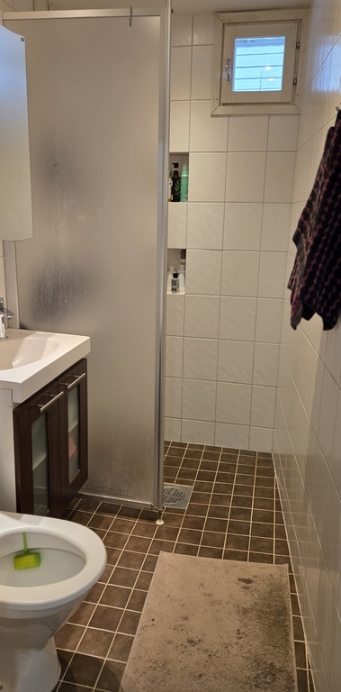 Toilet/shower downstairs