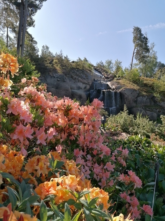 Sapokka Water Garden (Kotka) 