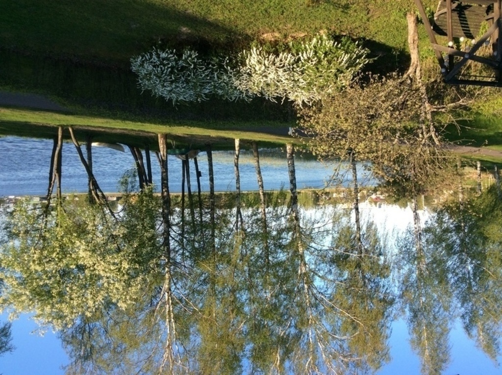 View from the balcony