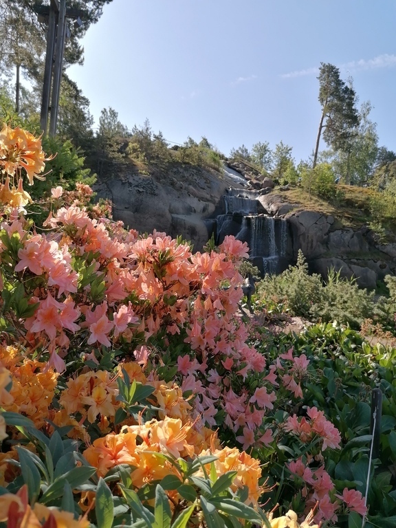 Sapokka Water Garden (Kotka) 