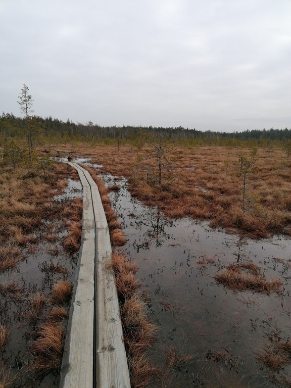 Valkmusa Nationalpark