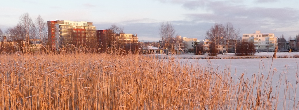 Lake Tuusula in winter