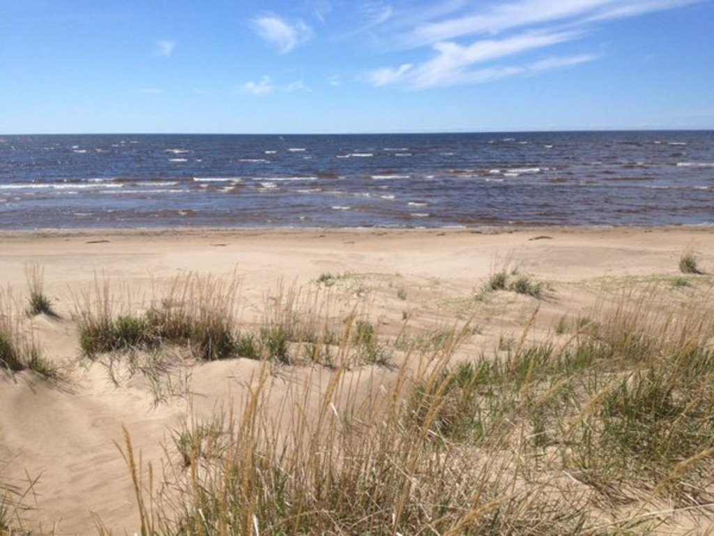 Hailuoto island 30 min drive with a ferry trip