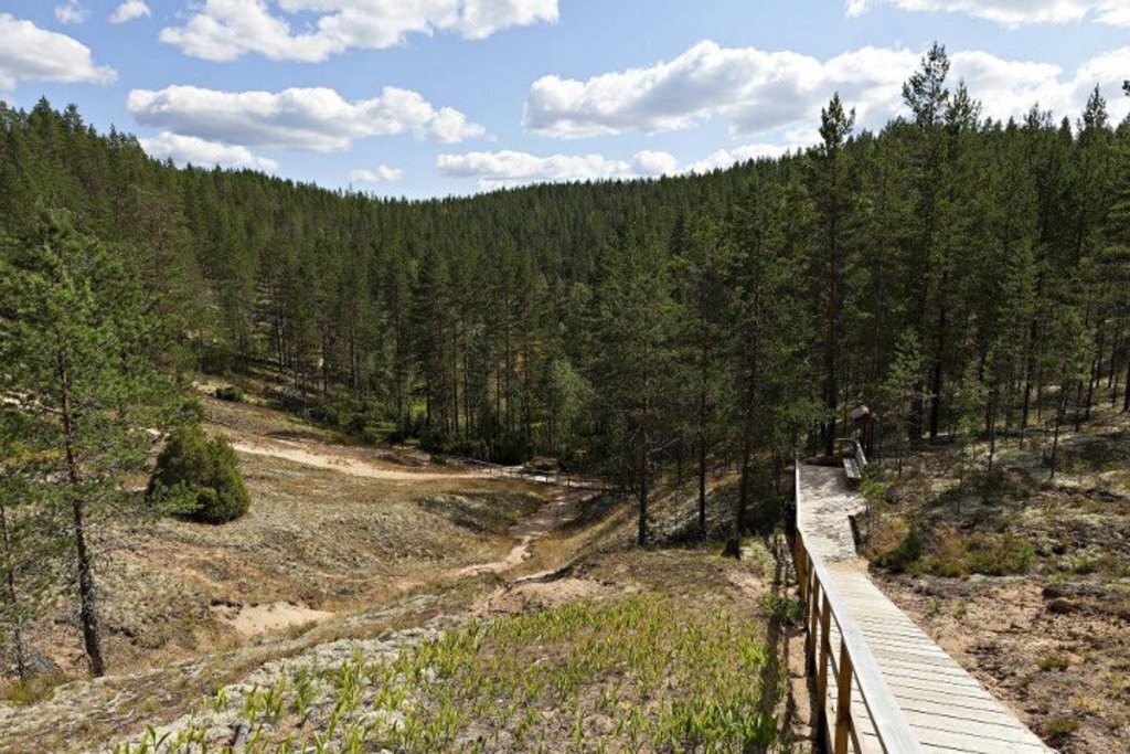 hiking in Rokua Geopark 45 min drive