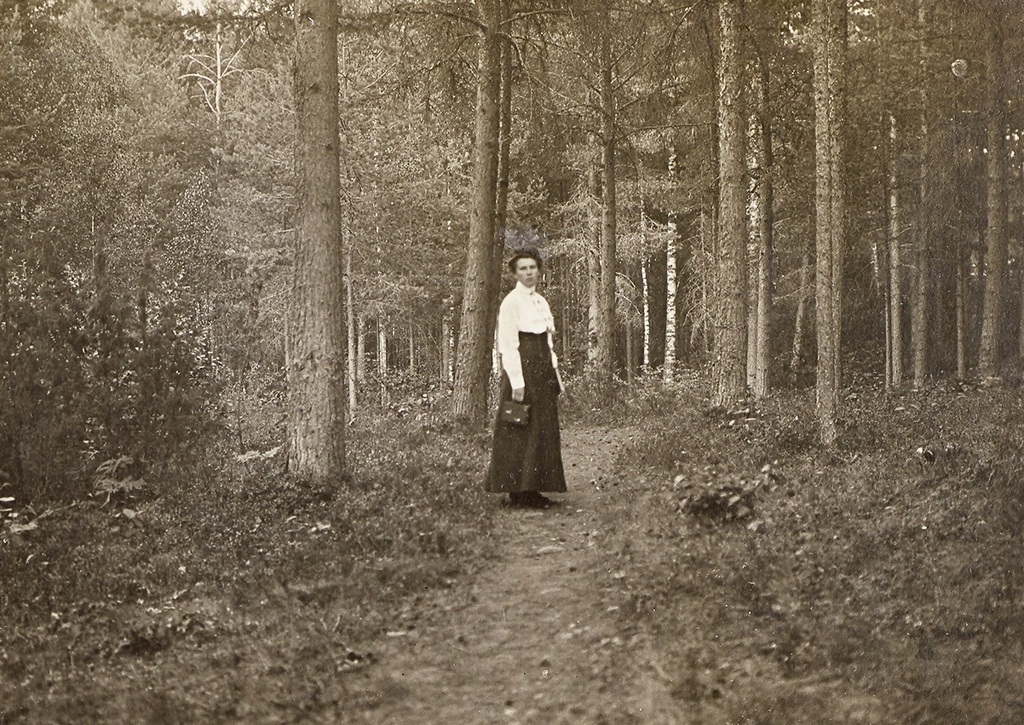 Our home forest in 1911