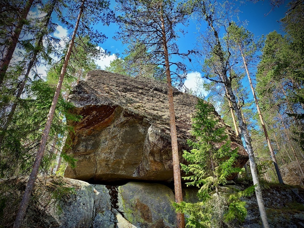 Typical Forest Scenery in our area, see Saimaa Geopark 