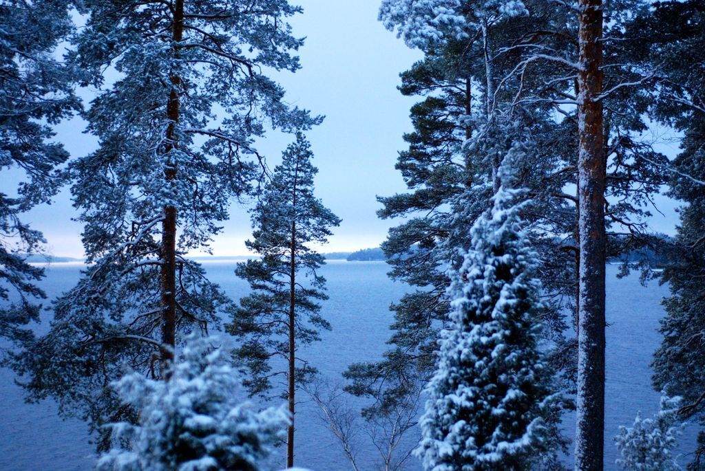 The view from the backyard in December