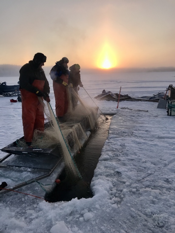 Traditional seine fishing in the neighbourhood