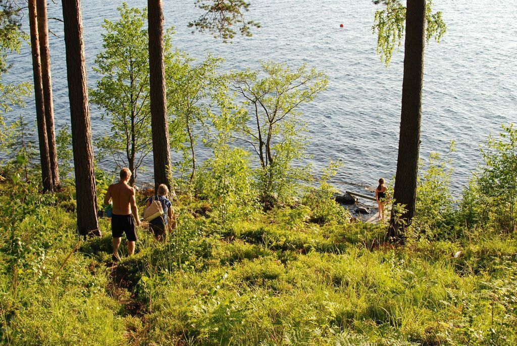 The backyard in July