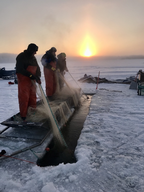 Traditional seine fishing in the neighbourhood