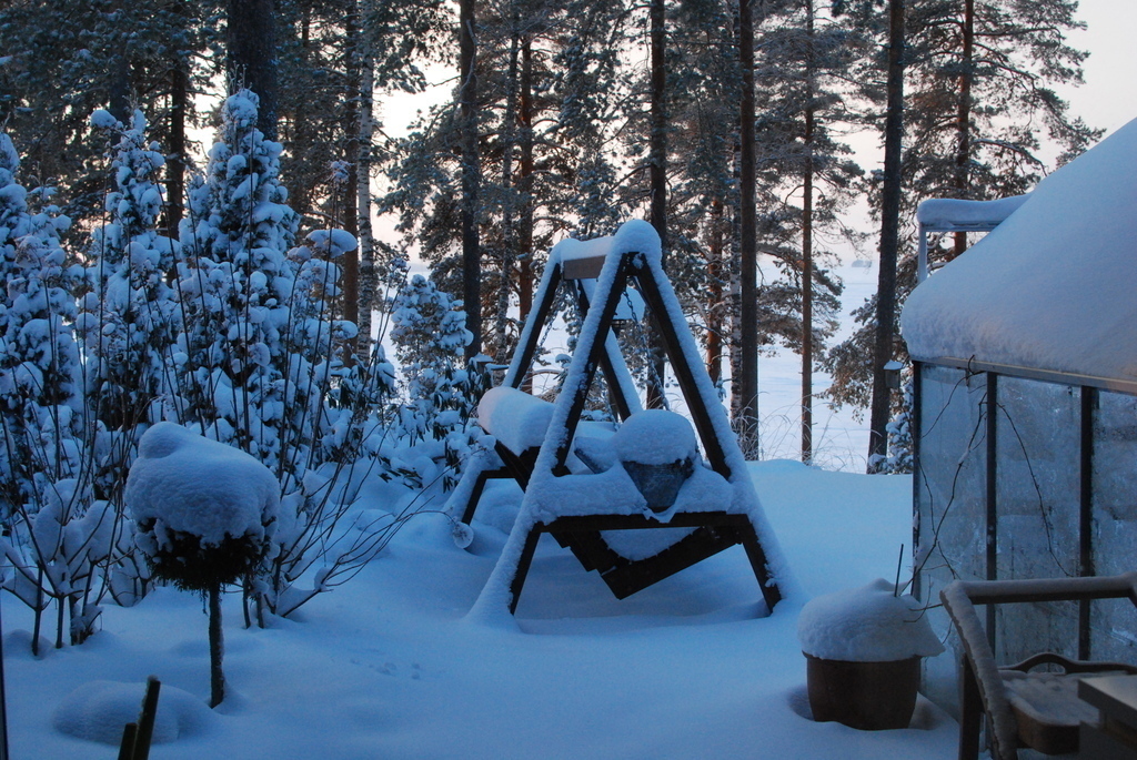 Backyard in January 2016