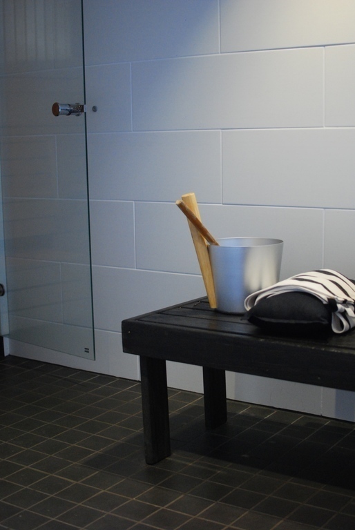 The sauna and bath