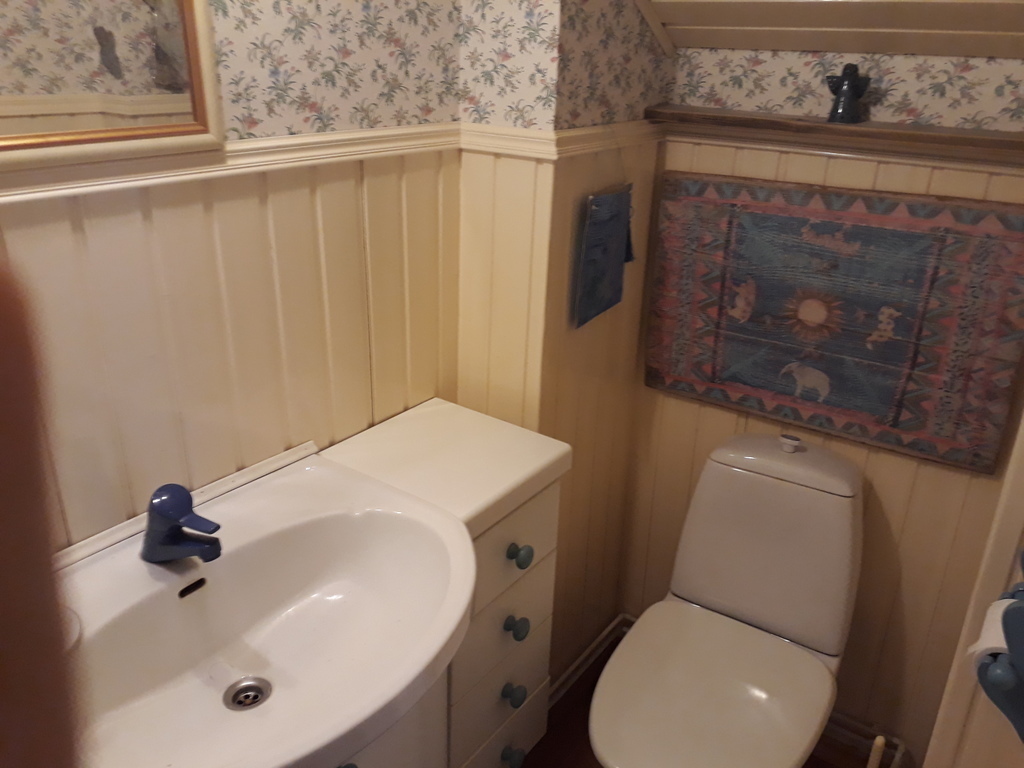 Upstairs toilet