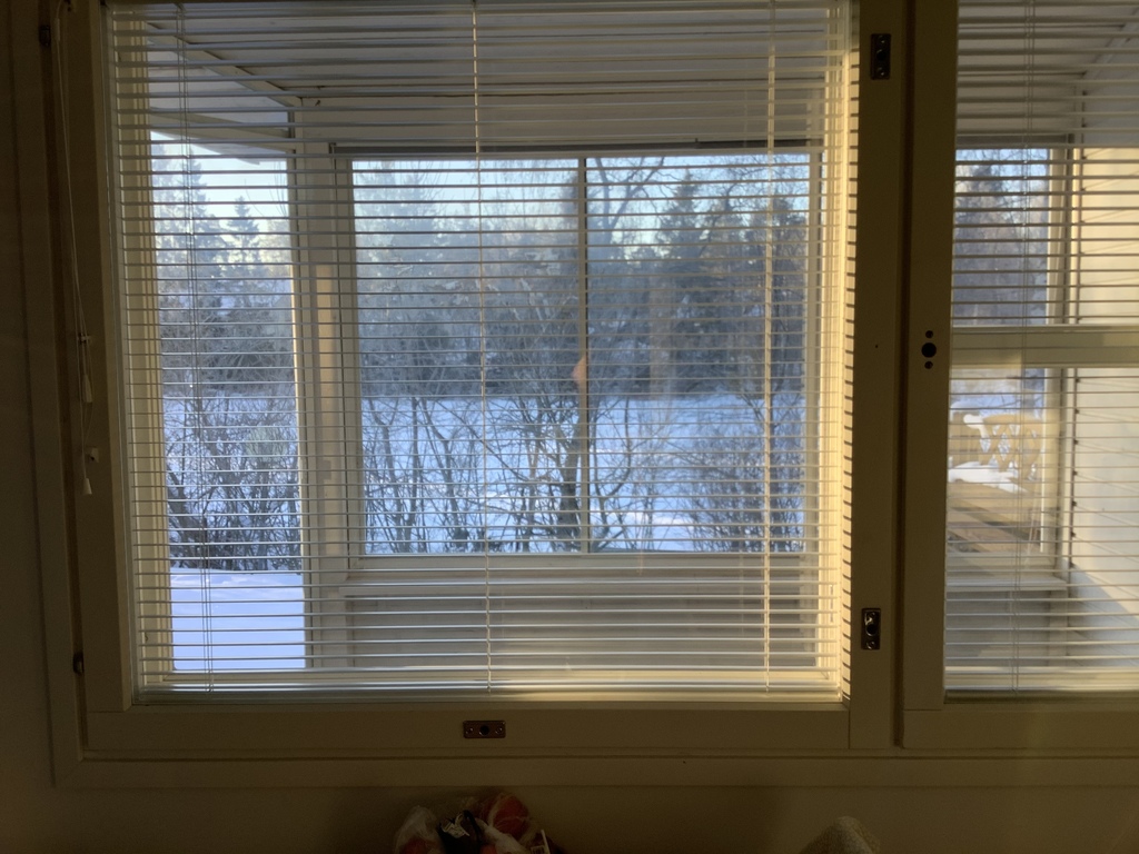 Terrace view from kitchen