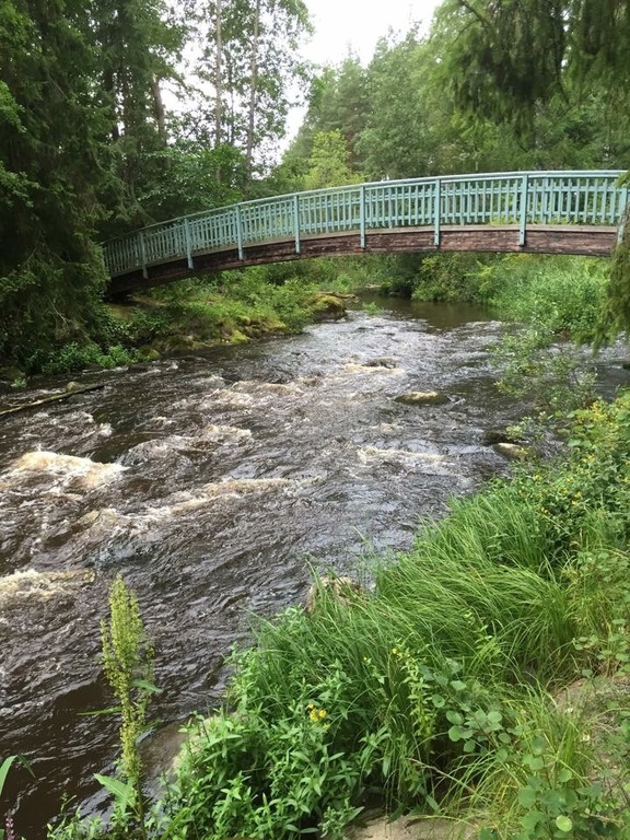 Myllykoski nature trail close to our house