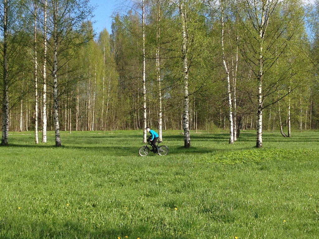 The park near our home in spring.