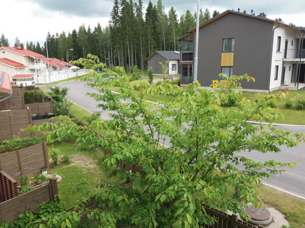 The street view from balcony