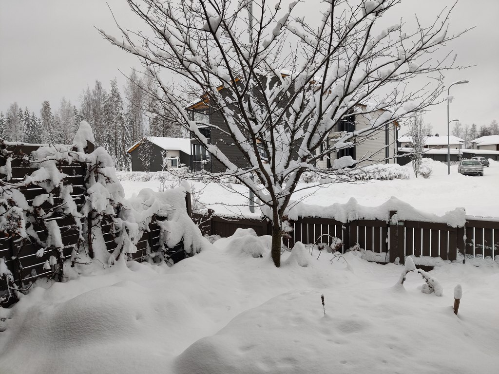 Our small garden in the winter 2023