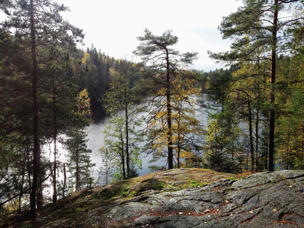 Piilolampi 12 km drive, 500m easy walk from parking place