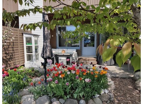 Our tiny, but beautiful garden, Big Green Egg grill