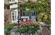 Our tiny, but beautiful garden, Big Green Egg grill