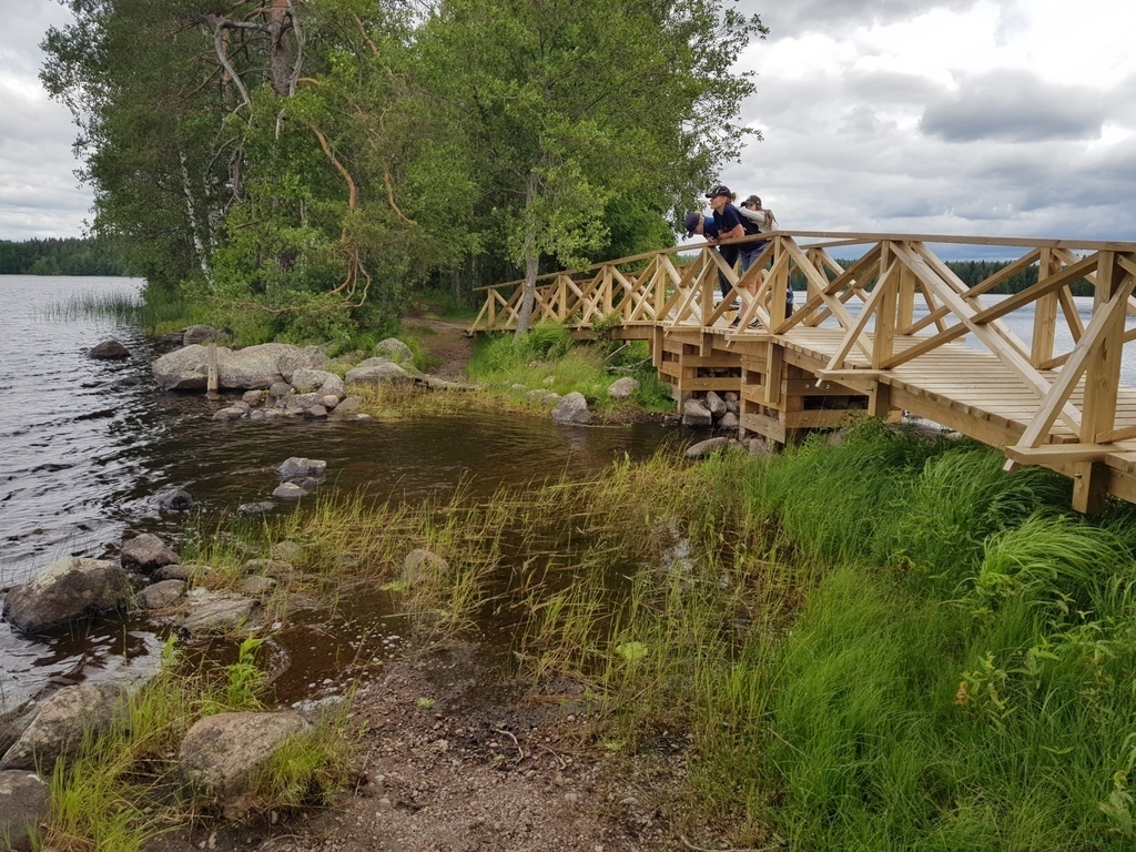 hiking in Liesjärvi